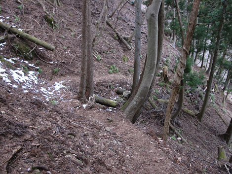 20170113hike (384)